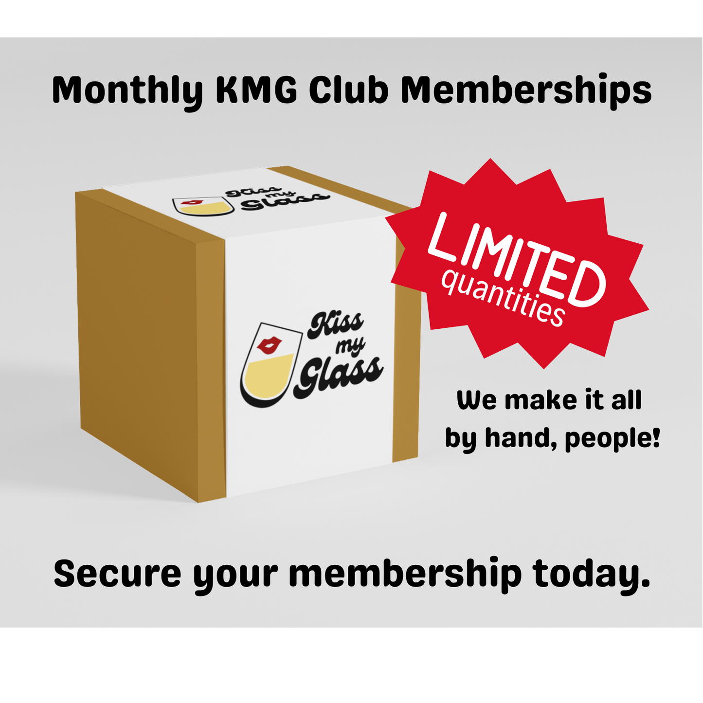 Join the Club! Treat yourself to 3, 6 or 12 Months of Snark and Sass!